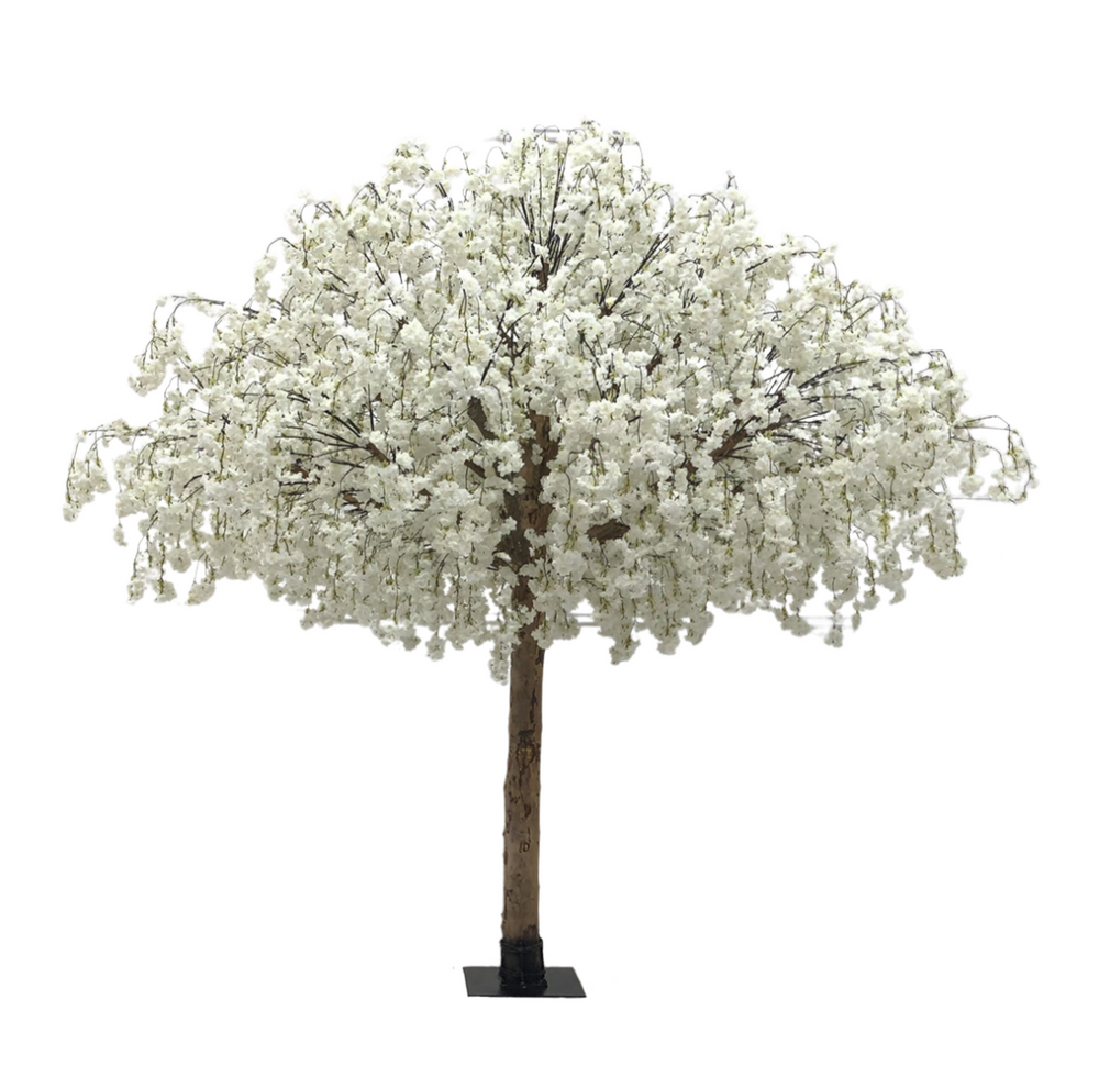 Snowdrop Grandé | 10ft white tree