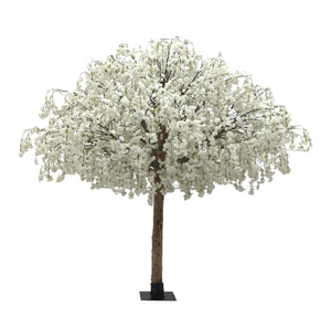 Snowdrop Grandé | 10ft white tree