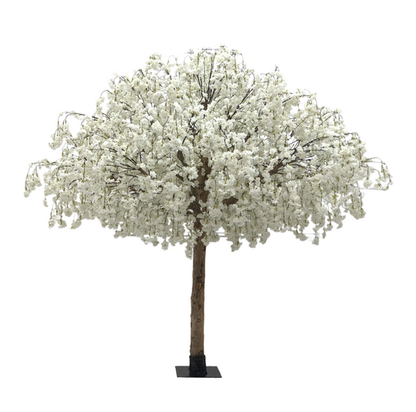 Snowdrop Grandé | 10ft white tree