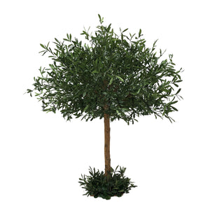 Olive Tree Dark | 5ft green tree