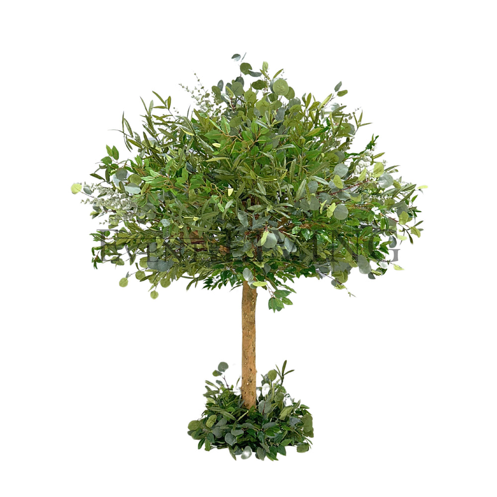 Hazel | 5ft green tree