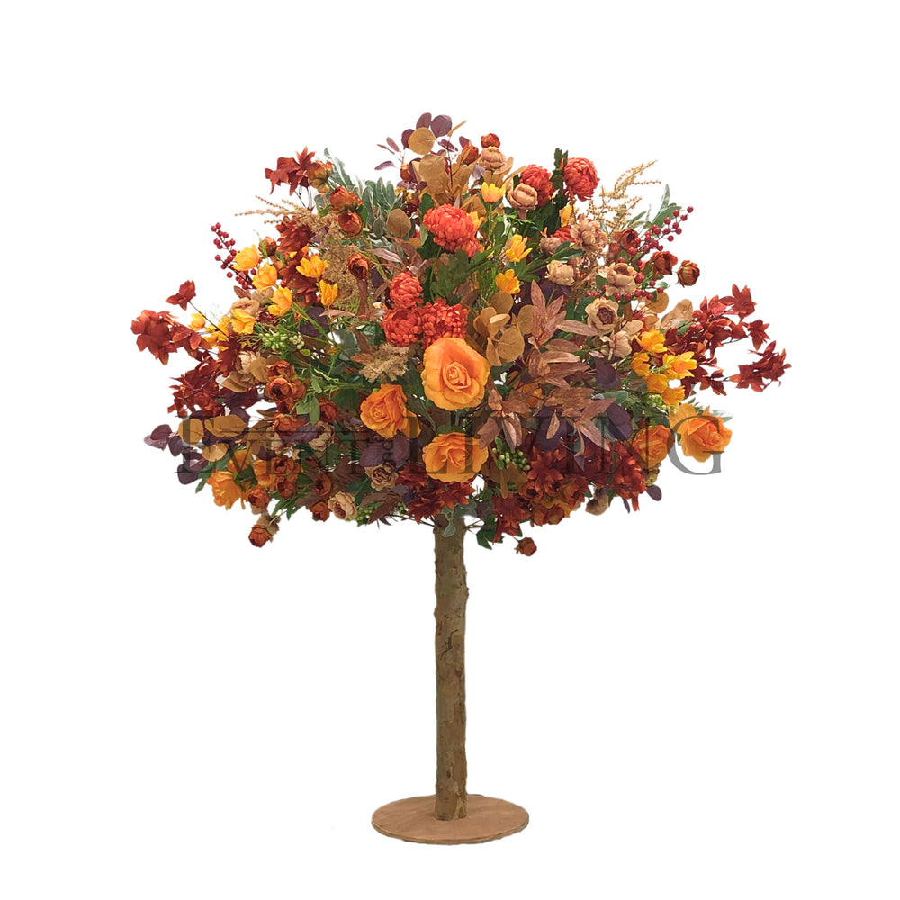 Cinnamon | 5ft orange tree
