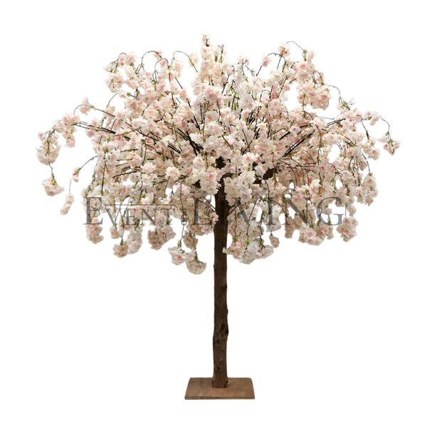 Yoshino | 5ft pink tree