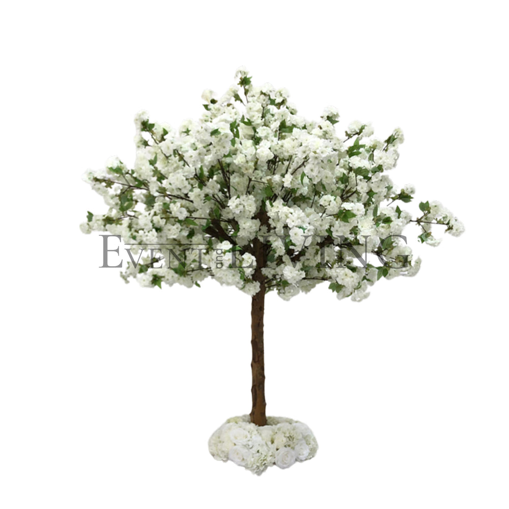 Garden Blossom | 5ft white tree