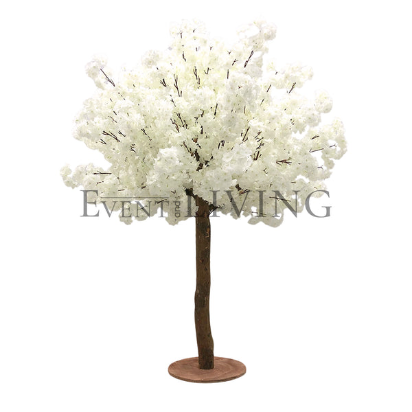White Blossom | 5ft white tree