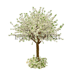White Cherry | 5ft white tree