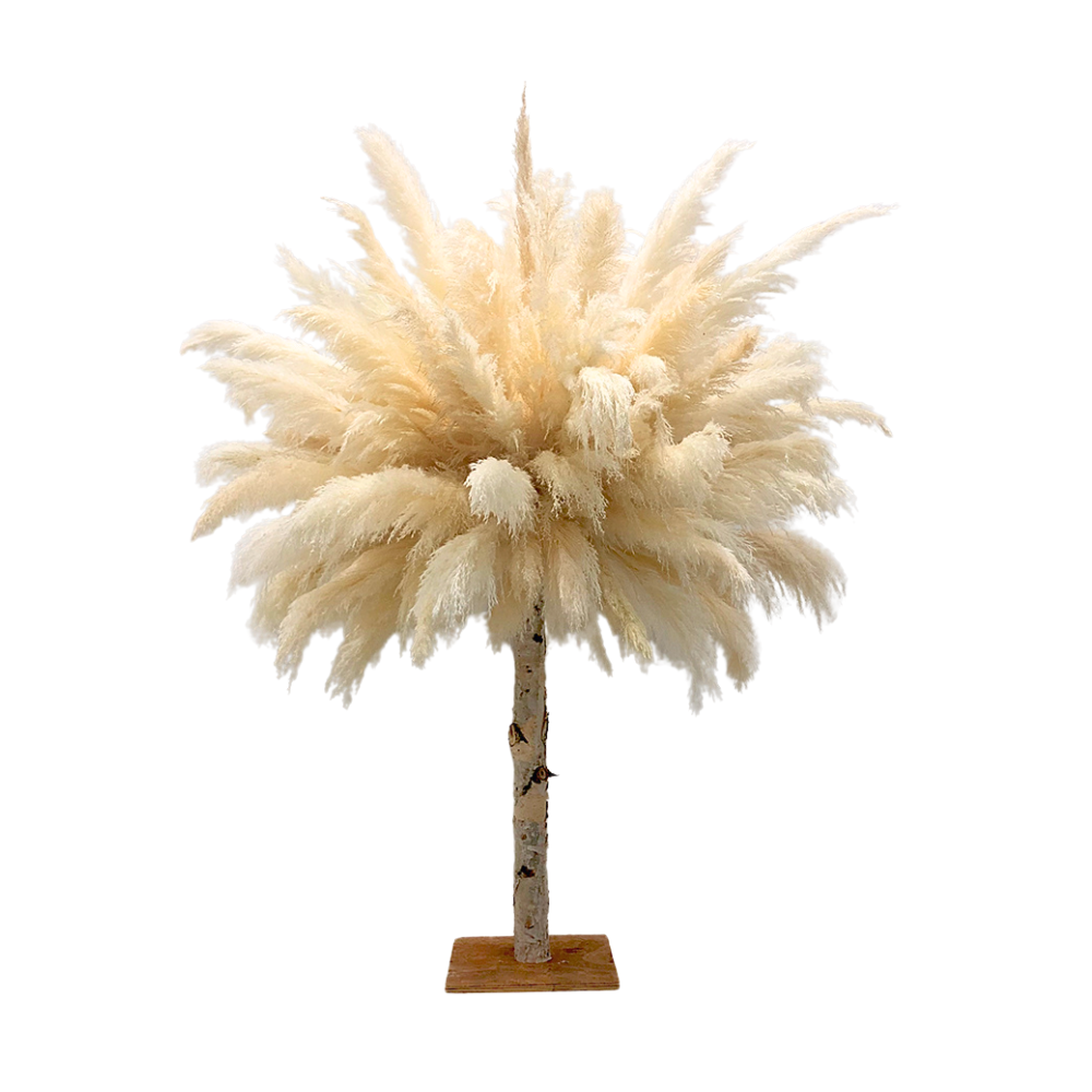 Pampas Tree | 5ft yellow tree
