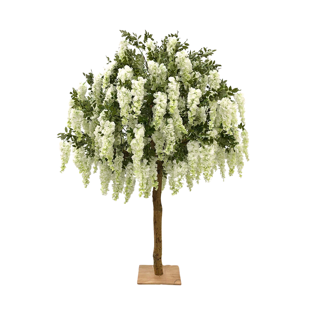 Willow | 7ft white tree
