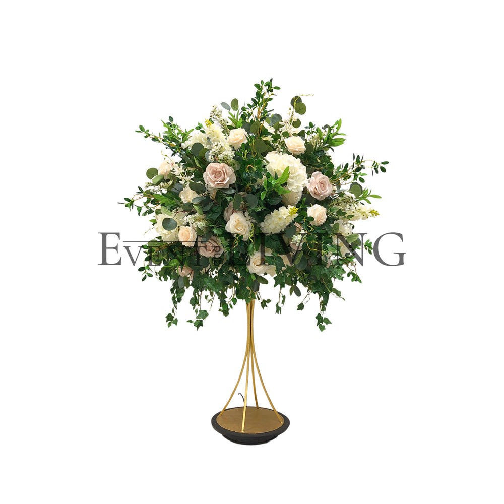 Hedera