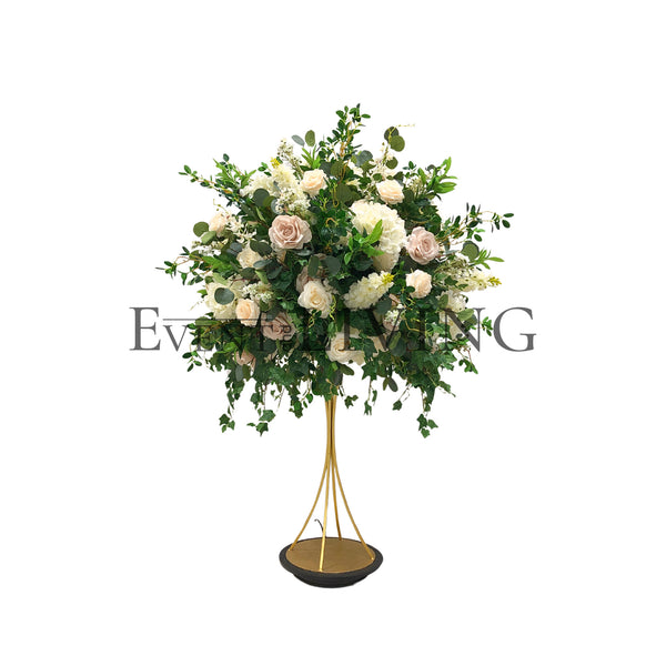 Hedera