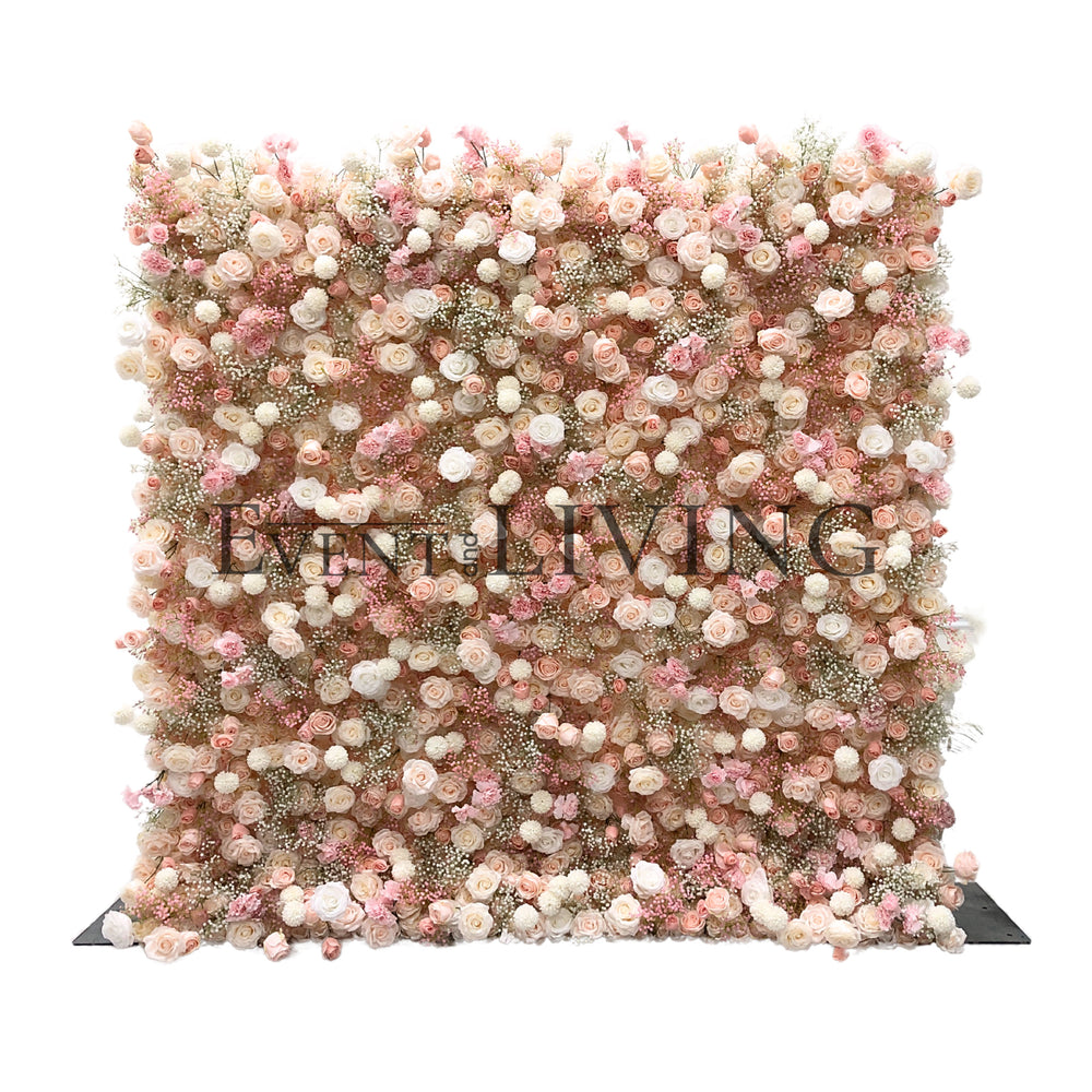 Macadamia