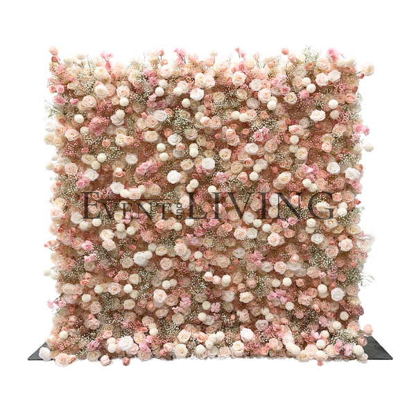 Macadamia